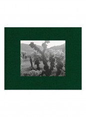 Diana Michener: Trance Hardcover English