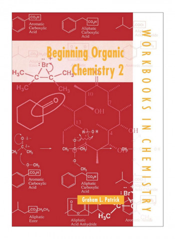 Beginning Organic Chemistry 2 Paperback
