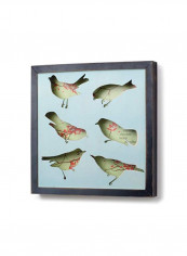 Bird Photo Frame Black/Green/Red 13inch