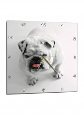 Cute Bulldog Printed Wall Clock White 15 x 15inch