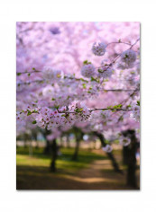 DC 2 Canvas Wall Art Purple 16 x 24inch