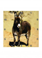 Miniature Donkey Printed Wall Clock Multicolour 13 x 13inch