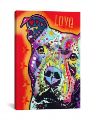 Thoughtful Pit Bull Canvas Wall Art Multicolour 18 x 12inch