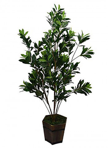 Fourwalls Artificial Green Croton Floor Plant Without Pot Green 919g