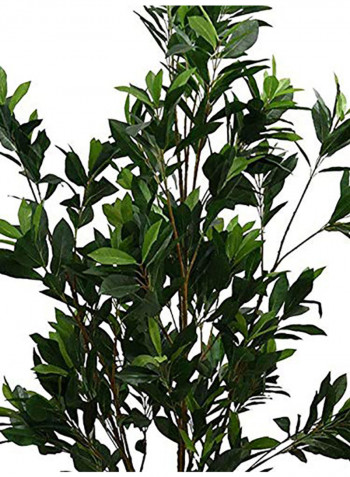Fourwalls Artificial Green Croton Floor Plant Without Pot Green 919g