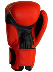 Fighter Boxing Gloves 10 oz