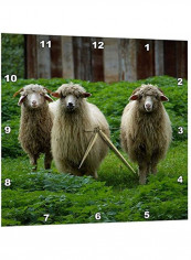 Three Sheep Printed Analog Wall Clock Multicolour 13x13x0.1inch