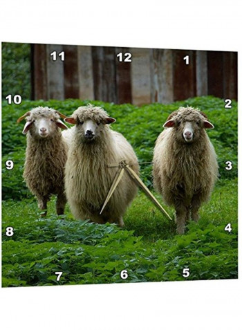Three Sheep Printed Analog Wall Clock Multicolour 13x13x0.1inch