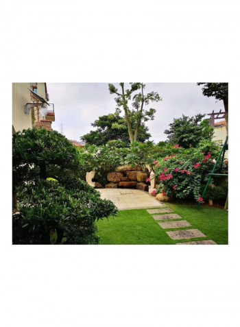 Outdoor Waterproof Solar Garden Peach Light White