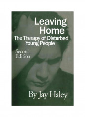 Leaving Home: The Therapy Of Disturbed Young People Paperback 2