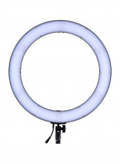 LED Bi-Colour Digital Ring Video Light 51.3x10.2x51centimeter Black/White