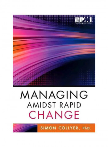 Managing Amidst Rapid Change Paperback
