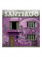 Street Art Santiago Hardcover