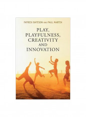 Play, Playfulness, Creativity And Innovation Paperback
