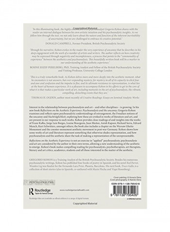 Reflections On The Aesthetic Experience Paperback
