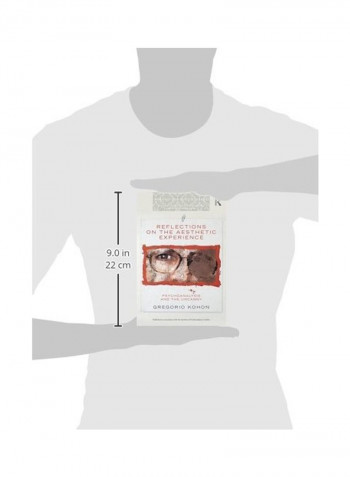 Reflections On The Aesthetic Experience Paperback