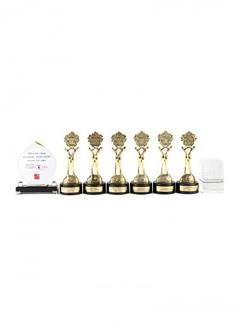 All-In-One Anti-Aging CC Tinted Cream Serum Brown