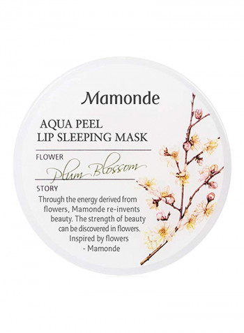 Aqua Peel Lip Sleeping Mask 20g