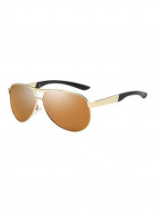Men's Aviator Sunglasses - Lens Size: 51 mm