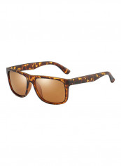 Men's Wayfarer Sunglasses