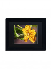 Cucumber Bloom Framed Wall Art Yellow/Green 11 x 14inch