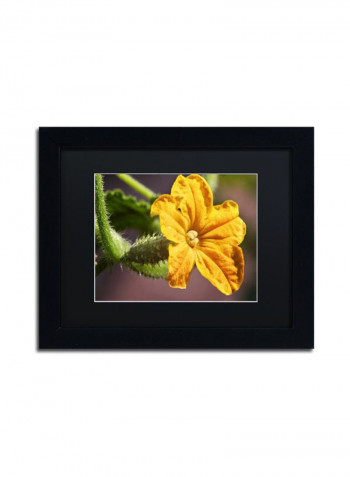 Cucumber Bloom Framed Wall Art Yellow/Green 11 x 14inch
