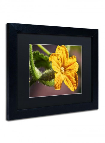 Cucumber Bloom Framed Wall Art Yellow/Green 11 x 14inch
