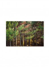 Summer Tango I Wooden Framed Wall Art Multicolour 11 x 11inch
