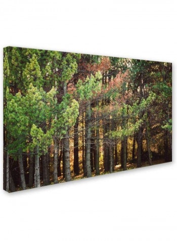 Summer Tango I Wooden Framed Wall Art Multicolour 11 x 11inch