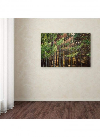 Summer Tango I Wooden Framed Wall Art Multicolour 11 x 11inch