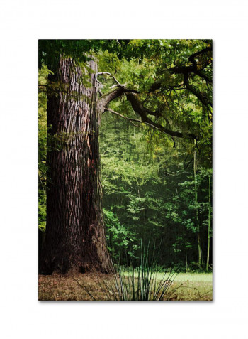 The Old Trunk Canvas Wall Art multicolour 12 x 19inch