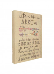 Decorative Life Is Like An Arrow Canvas Wall Art Beige/Grey/Pink 16x20x1.5inch