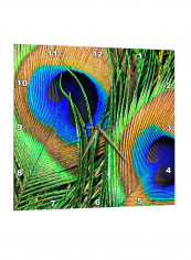 Peacock Feather Printed Wall Clock Green/Blue 15 x 15inch