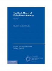 The Block Theory Of Finite Group Algebras Paperback