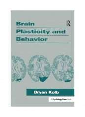 Brain Plasticity And Behavior Paperback