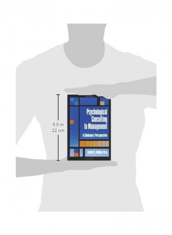 Psychological Consulting To Management: A Clinician's Perspective Paperback
