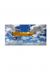 Vintage Plane In The Sky On Canvas Painting Blue 60x30centimeter