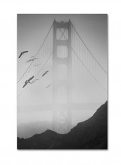 Gold Ornate Frameen Gate Pier And Birds I Framed Wall Art Black/White 16 x 24inch