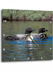 Family Of Loons Printed Wall Clock Multicolour 13x13x0.1inch