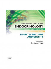 Endocrinology Paperback