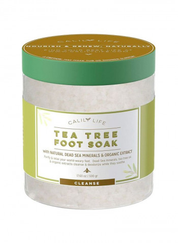 Tea Tree Foot Soak 500g