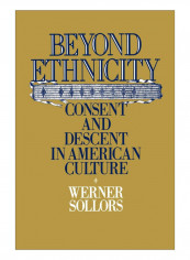Beyond Ethnicity Paperback