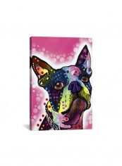 Boston Terrier Canvas Wall Art Multicolour 18 x 12inch