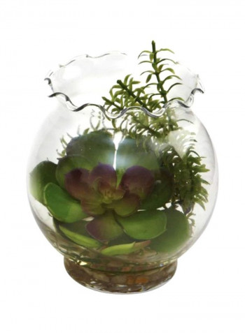 2-Piece Succulent Plant Set With Vase Green/Clear