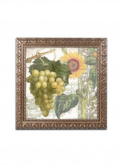 Dolcetto III Framed Wall Art Multicolour 11 x 11inch