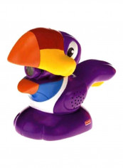 Toucan Light Up Toy