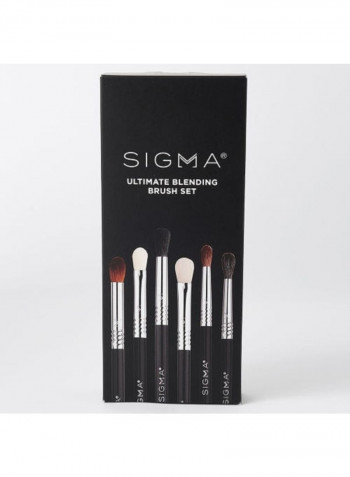 6 Piece Ultimate Blending Brush Set متعدد الألوان