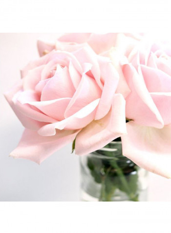 Rose Magnesium Hair Detox Serum 30ml