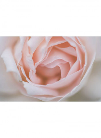 Rose Magnesium Hair Detox Serum 30ml