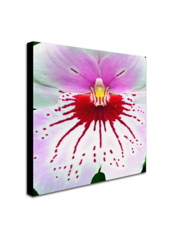 Mother Natures Imagination Orchid Canvas Wall Art Multicolour 18 x 18inch